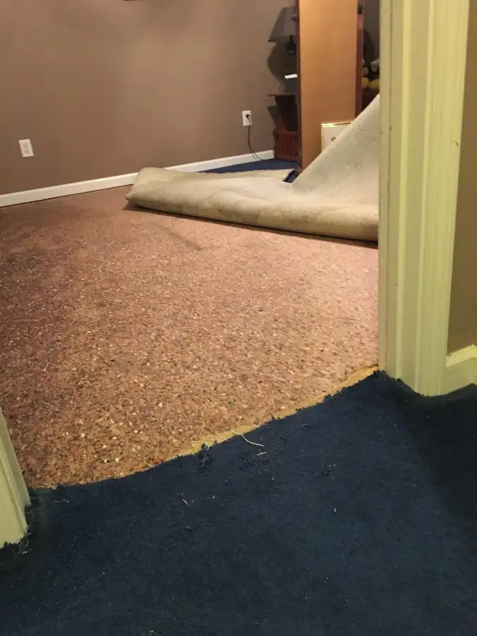 Carpet pad removal revealing water damage during Water Mitigation Services in Auburn Hills