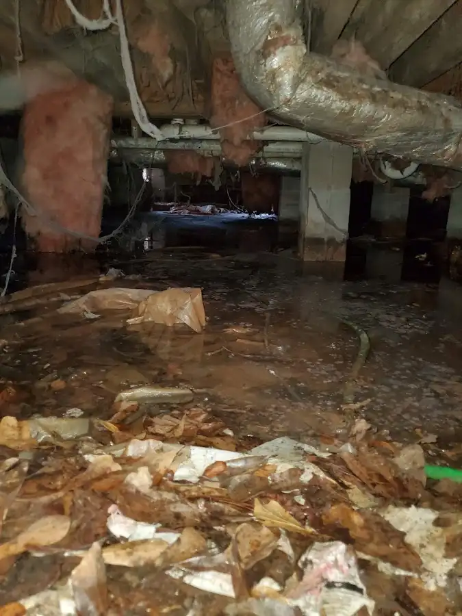 Crawl space flood assessment for Commercial Water Damage Restoration in Auburn Hills