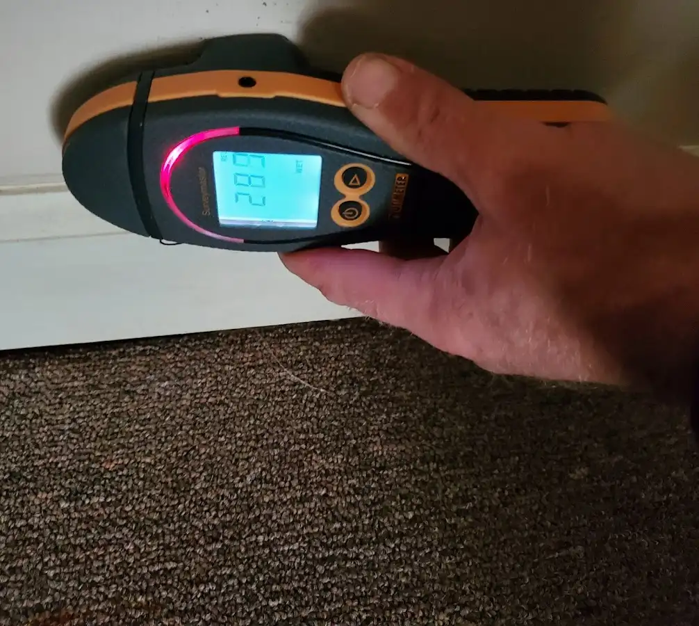 Moisture detection at baseboard during Sewage Cleanup & Sanitation in Auburn Hills